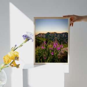 Nature wallpaper