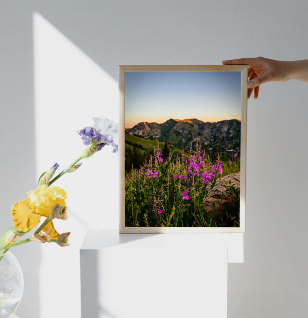 Nature wallpaper